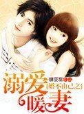 婚不由己之溺愛暖妻